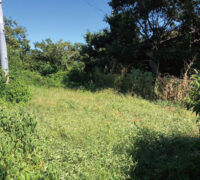 嘉島町　下六嘉